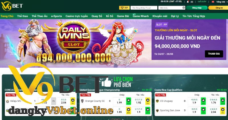 Giới Thiệu Đôi Nét Về Nhà Cái V9bet